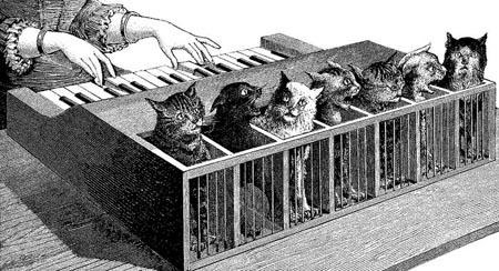 cat_piano cat_piano