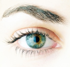 eye